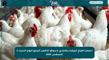 أسعار الفراخ البيضاء والبلدي بأسواق الأقصر تتراجع اليوم السبت 2 أغسطس 2025